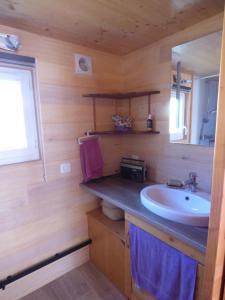 a bathroom with a sink and a mirror at Tiny House lumineuse et ressourçant in Le Brusquet