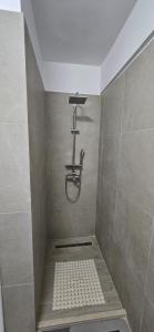 北马马亚-讷沃达里Alecos Apartment Spa&Resort的带淋浴和瓷砖墙的浴室