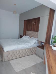 北马马亚-讷沃达里Alecos Apartment Spa&Resort的卧室里有一张带木质床头板的大床 更多12张照片