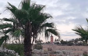 Κήπος έξω από το Maison traditionnelle de campagne avec vue sur mer