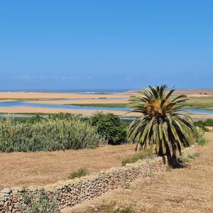 Φυσικό τοπίο κοντά σε αυτή η παραθεριστική κατοικία