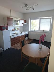 Kuchyň nebo kuchyňský kout v ubytování Apartmán U Radka + 9 fotografií