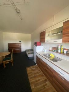 Kuchyň nebo kuchyňský kout v ubytování Apartmán U Radka