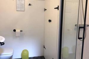 ein Badezimmer mit Toilette und Glasdusche in der Unterkunft Cosy cottage near Hartland Village in Bideford