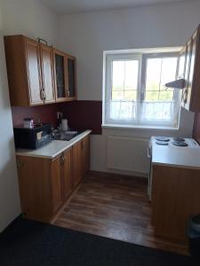 Kuchyň nebo kuchyňský kout v ubytování Apartmán U Radka