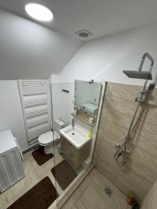a bathroom with a toilet and a sink and a shower at Relax House Apartments in Craiova
