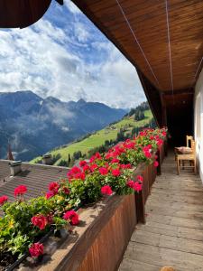einen Balkon mit roten Blumen und Bergblick in der Unterkunft Unterhecherhof in Bannberg