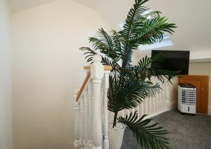 Una planta colocada encima de un riel blanco. en 59 Moss Green - Close to the city centre, en York