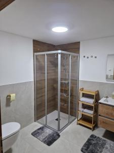 a bathroom with a shower and a toilet and a sink at Ferienmaisonette Purpurbuche in Reutte +38 photos