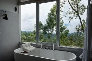 Phong cảnh thiên nhiên gần resort