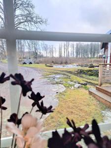 Aed väljaspool majutusasutust Biskopskvarn