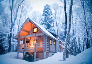 a wooden cabin in the woods in the snow at Morino Chalets in Hakuba