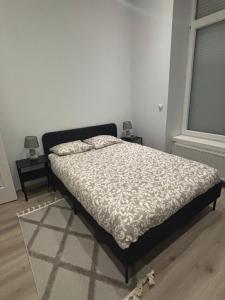 a bedroom with a bed and a window at Appartement Leyla in Brussels