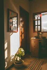 una habitación con una planta en una cesta junto a una ventana en Casinha Pedra do Baú, en São Bento do Sapucaí