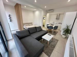 a living room with a couch and a table at Skopje Home 19 in Skopje
