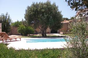 a swimming pool with a bench and a tree at RIAD BERBERE in Taghazout