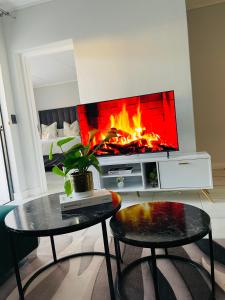 プレトリアにある1 bedroom- The Blyde by Givenのリビングルーム(暖炉付きテレビ付)