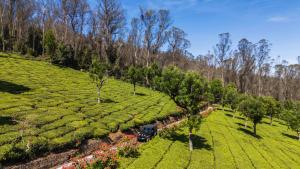 Fotografie z fotogalerie ubytování Cloud Walk by Xplore Indo v destinaci Coonoor