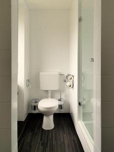 a bathroom with a toilet and a shower at Hotel Deutschherrenhof in Trier