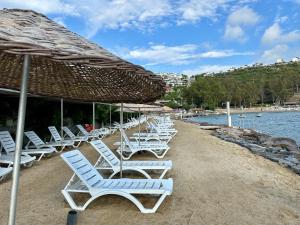 a row of chairs and umbrellas on a beach at Villa Paradise in Milas