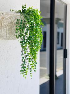 Gallery image of M2B guest lodge - Mum to be spa in Mahikeng