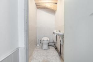 a bathroom with a toilet and a sink at Maison de charme à Puycelsi avec jardin et barbecue in Puycelci