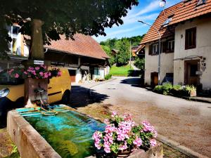 a small pond in the middle of a street with flowers at Alpenpanorama Hägelberg in Steinen