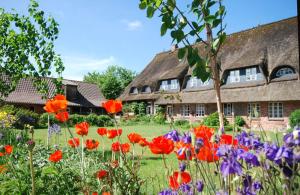 een bloemenveld voor een huis bij Hof Wiesentau in Bösdorf