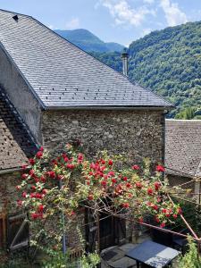 Nespecifikovaný výhled na hory nebo výhled na hory při pohledu z bed and breakfast