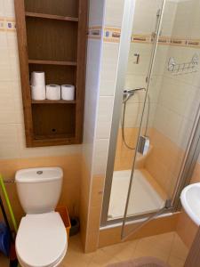 a bathroom with a toilet and a glass shower at Apartmán Diana in Oščadnica