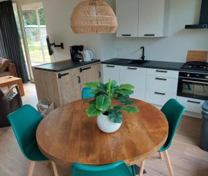 a kitchen with a wooden table with a potted plant on it at De Dopheide | 4 persons in Gasselte