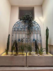 a gate with cactuses and plants in a room at Poblado Luum Boutique hotel in Medellín