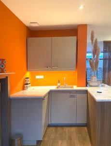 a kitchen with a sink and an orange wall at De bank van Nagele in Nagele