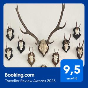 a taxidermy display of deer antlers on a wall at Magic Forest Design Apartment, 65 Zoll TV, Waschtrockner, beste Lage, am Markt in Gera