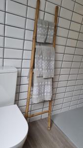 a bathroom with a towel rack next to a toilet at Casa da Beija - House Azores in Furnas