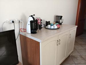 Kuchyňa alebo kuchynka v ubytovaní La Ciaccia - appartement vue mer