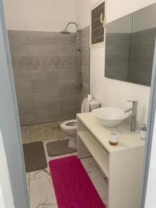 a bathroom with a sink and a toilet and a mirror at Villa Confortable à Deshaies avec Piscine Privée in Deshaies