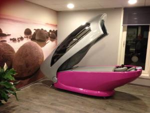 a pink toilet sitting on the floor in a room at Vrije Vlinders in IJzendijke