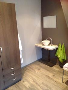 a bathroom with a sink next to a counter at Vrije Vlinders in IJzendijke