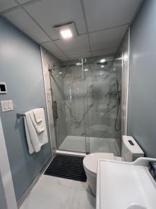 a bathroom with a shower and a toilet and a sink at Chalet Desroy in Chertsey