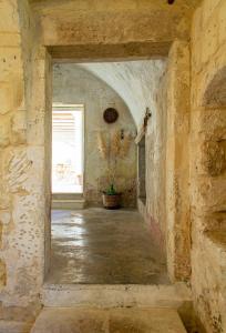 Galeriebild der Unterkunft Masseria Rauccio in Torre dell'Orso