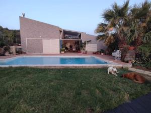 Swimmingpoolen hos eller tæt på Villa con piscina sul mare sud Sardegna + 3 billeder