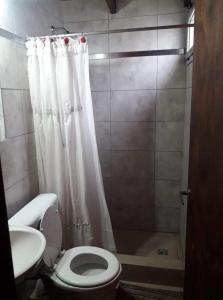a bathroom with a toilet and a shower at DIVMAR APART Santa Clara del Mar in Santa Clara del Mar +11 photos