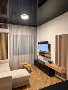 Μια τηλεόραση ή/και κέντρο ψυχαγωγίας στο Top Central Residence