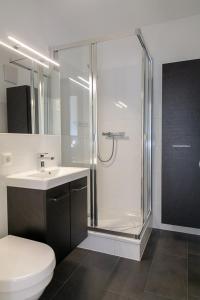a bathroom with a shower and a toilet and a sink at F35B 18 Seaside 18 in Westerland (Sylt)