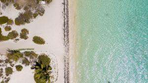 an overhead view of the beach and the ocean at Romantic Escape, Walk to Beach, Pool, Hammock in Long Bay Hills