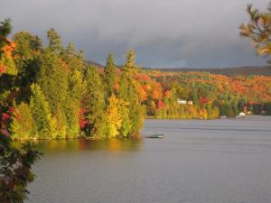 un bateau sur un lac avec des arbres en automne dans l'établissement Gîte et Atelier de L'Artiste Peintre Paysagiste Canadien Gordon Harrison, à Sainte-Marguerite