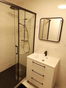 Un baño con lavabo y ducha con espejo. en Embrun - T2 avec jardin près de la Plage, en Saint-Nazaire 5 fotos más