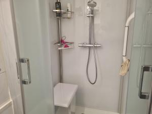 a white bathroom with a shower and a toilet at Superbe appartement à koksijde (coxyde) in Koksijde +4 photos