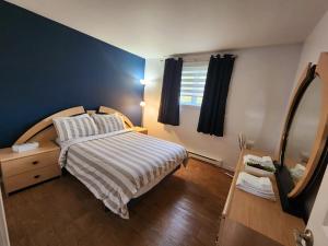 a bedroom with a bed and a dresser and a mirror at Maison St-Raymond Duplex in Matane